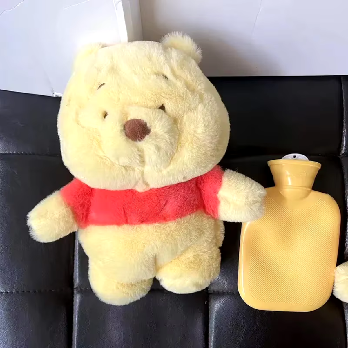 Plush Bear with Hot Water Bag