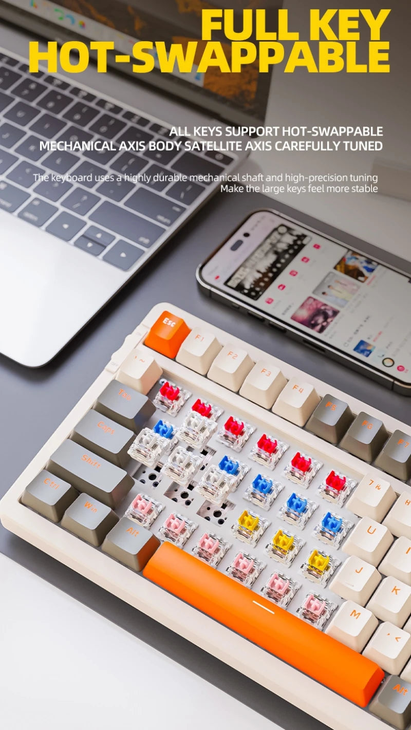 Wireless Mechanical Keyboard Hot Swap 100 Keys 100% Layout Spanish Russian Korean Arabic Mechanical keyboard BT Connect K96 - My Store