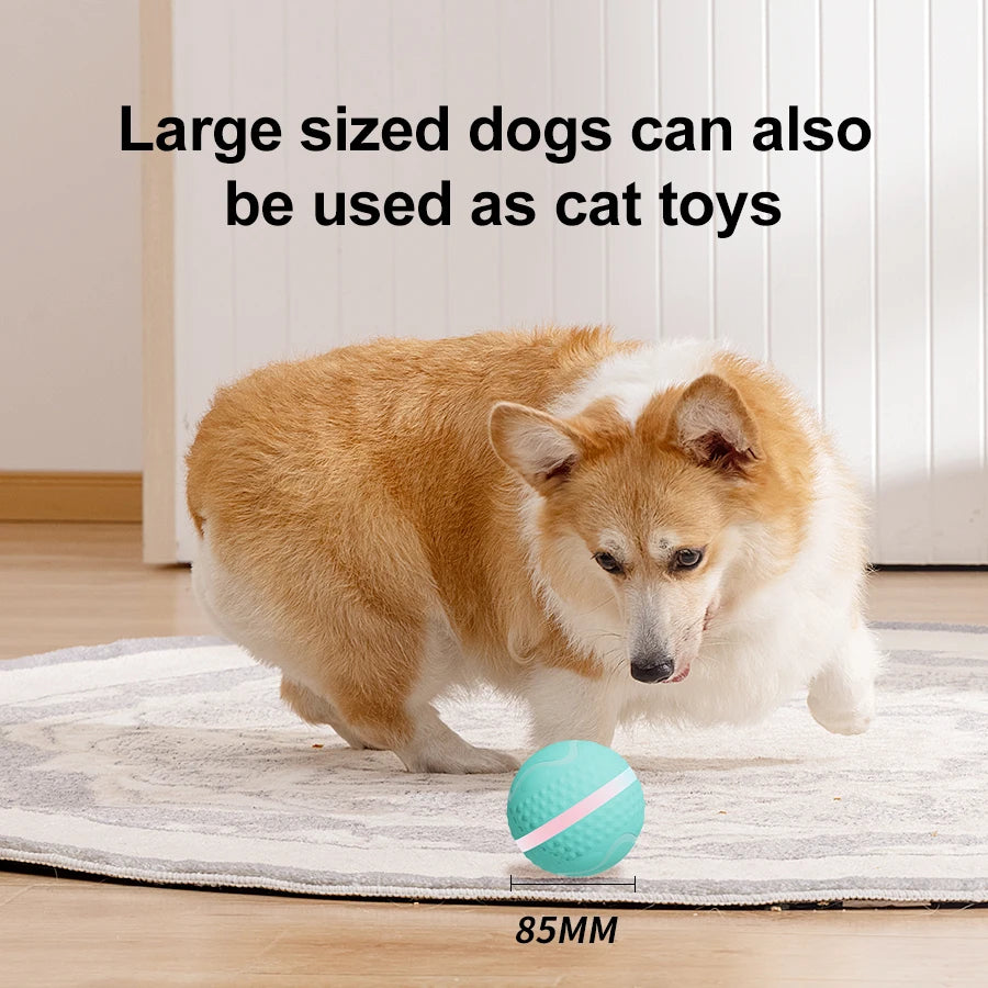 Smart Interactive Pet Dog Chew Toys Ball Electronic USB Rechargeable Luxury TPU Pet Dog Ball Toys