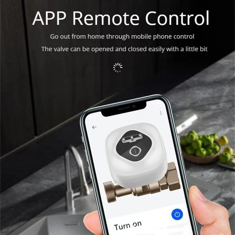 eWelink APP Wifi Water Valve Smart Timer Open Shutoff Automated Ball Valve Intelligent Remote Control Support Alexa Google Home - My Store