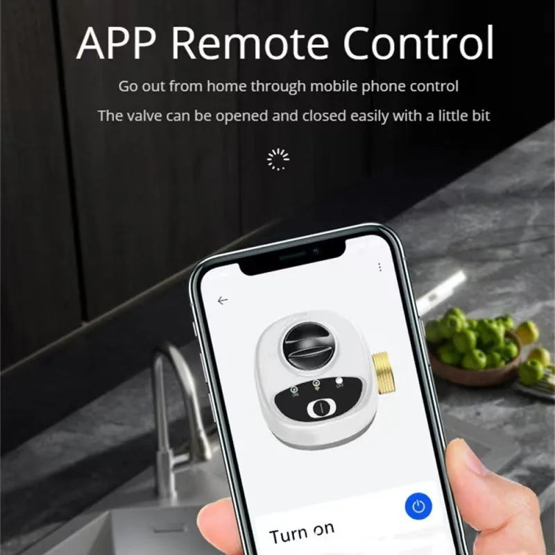 eWelink APP Wifi Water Valve Smart Timer Open Shutoff Automated Ball Valve Intelligent Remote Control Support Alexa Google Home - My Store