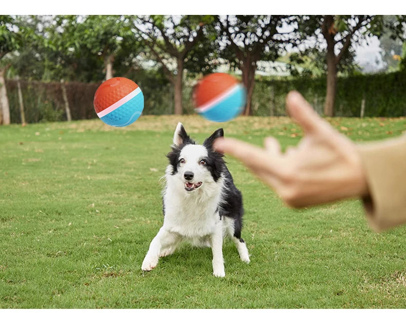 Smart Interactive Pet Dog Chew Toys Ball Electronic USB Rechargeable Luxury TPU Pet Dog Ball Toys