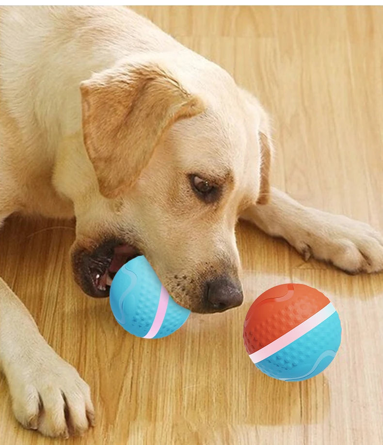 Smart Interactive Pet Dog Chew Toys Ball Electronic USB Rechargeable Luxury TPU Pet Dog Ball Toys