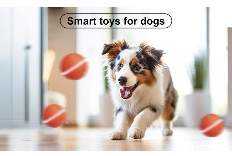 Smart Interactive Pet Dog Chew Toys Ball Electronic USB Rechargeable Luxury TPU Pet Dog Ball Toys